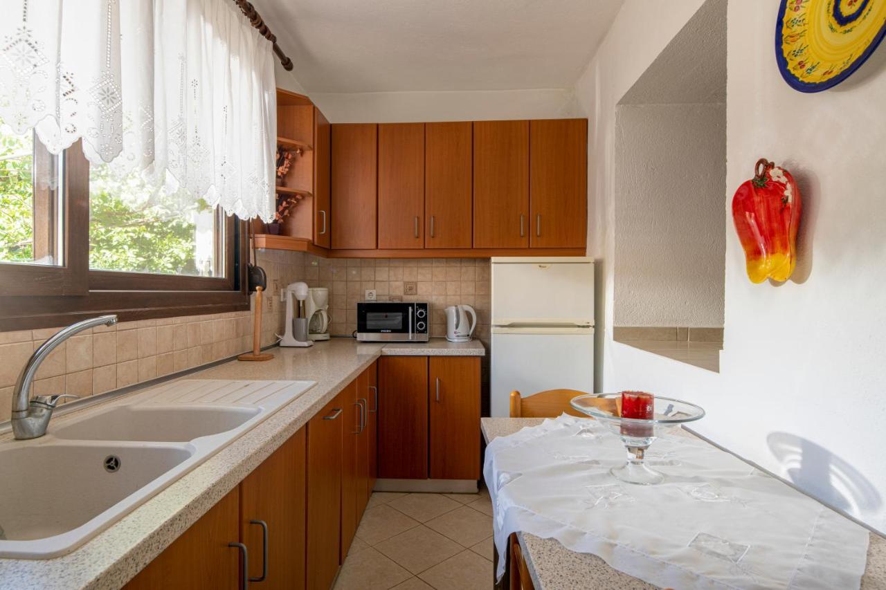 Thodoros Apartment Sykia Chalkidikis Extérieur photo