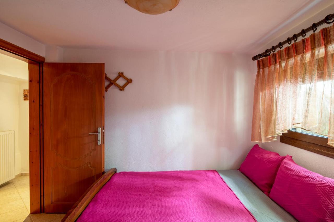 Thodoros Apartment Sykia Chalkidikis Extérieur photo