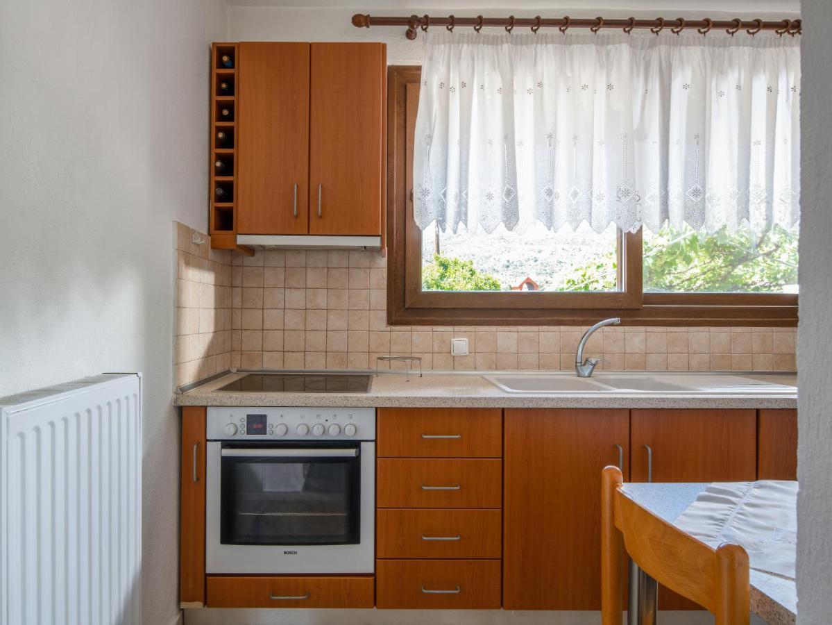 Thodoros Apartment Sykia Chalkidikis Extérieur photo